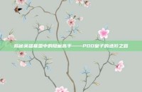 揭秘英雄联盟中的隐藏高手——PDD皇子的进阶之路