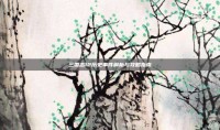 三国志12历史事件解析与攻略指南
