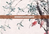 冒险岛防沉迷系统全面解析