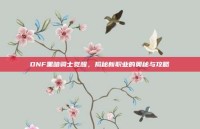 DNF黑暗骑士觉醒，揭秘新职业的奥秘与攻略