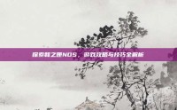 探索和之匣NDS，游戏攻略与技巧全解析