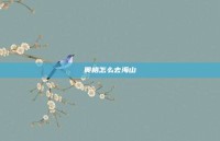 奥格怎么去海山