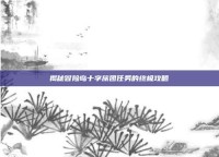 揭秘冒险岛十字旅团任务的终极攻略
