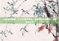 csgo信息解析，CSGO信息解析，掌握这些关键细节，让你轻松上分