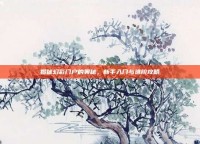 揭秘幻彩门户的奥秘，新手入门与进阶攻略