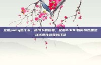 企鹅pubg是什么，冰川下的巨兽，企鹅PUBG如何悄然重塑战术竞技游戏的江湖