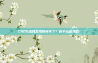 CSGO送好友皮肤领不了？新手必看攻略！