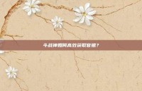 斗战神如何高效获取官银？