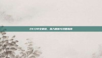 2K13中文解说，深入解析与攻略指南