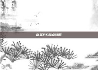 剑圣PK加点攻略