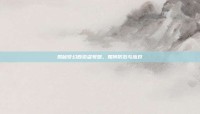 揭秘梦幻西游盗号器，如何防范与应对