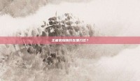 王者荣耀嗨氏在第几区？