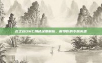 龙之谷DWC角色深度解析，解锁你的专属英雄