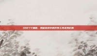 DNFYY辅助，揭秘游戏中的作弊工具及其影响