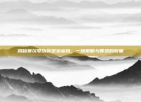 揭秘赛尔号伪装堡垒密码，一场策略与智慧的较量