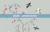 常州恶棍，游戏攻略与技巧揭秘