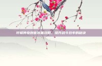 轩辕传奇刺客装备攻略，提升战斗效率的秘诀