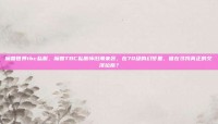 魔兽世界tbc私服，魔兽TBC私服怀旧潮来袭，在70级的幻梦里，谁在寻找真正的艾泽拉斯？
