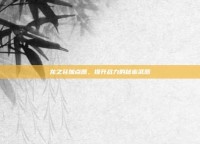 龙之谷加点器，提升战力的秘密武器