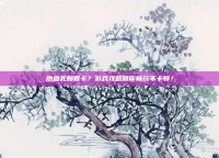 热血无赖很卡？游戏攻略助你畅玩不卡顿！