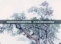 揭秘席德梅尔的海盗游戏攻略，成为海上霸主的终极指南
