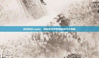 游戏风云vsplu，揭秘游戏中的隐藏技巧与策略