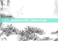 揭秘冒险岛双刀任务，攻略与技巧全解析