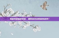 揭秘问道抽奖系统，如何高效获取稀有道具？