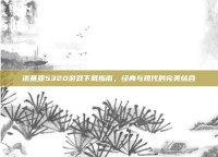 诺基亚5320游戏下载指南，经典与现代的完美结合