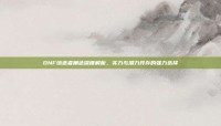 DNF缔造者角色深度解析，实力与潜力并存的强力选择