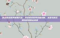 逆战老虎载具使用方法，逆战老虎载具终极攻略，从菜鸟到王牌驾驶员的必修课