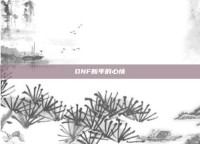 DNF新年的心情
