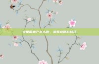 宝象国特产怎么跑，游戏攻略与技巧