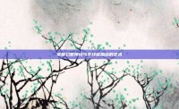 掌握幻想神域弓手技能加点的艺术