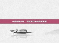 小蛮的锦衣馆，揭秘游戏中的隐藏宝藏