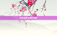 冠军篮球经理2攻略