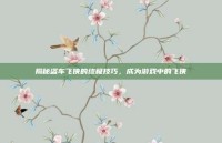 揭秘盗车飞侠的终极技巧，成为游戏中的飞侠
