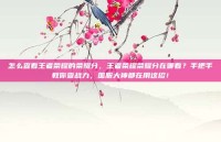 怎么查看王者荣耀的荣耀分，王者荣耀荣耀分在哪看？手把手教你查战力，国服大神都在用这招！