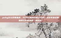 pubg怎么设置血液，PUBG血液效果怎么调？这份专业设置指南让你看清每一滴战况！
