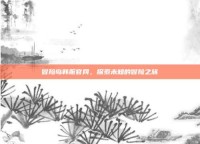 冒险岛韩服官网，探索未知的冒险之旅