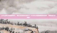 pubg笔记本画质调节，笔记本也能吃鸡不卡？PUBG终极画质调优指南，帧数飙升还清晰！