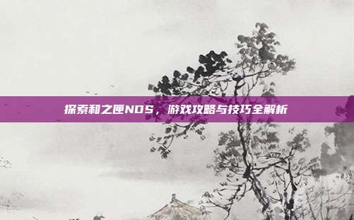 探索和之匣NDS,游戏攻略与技巧全解析