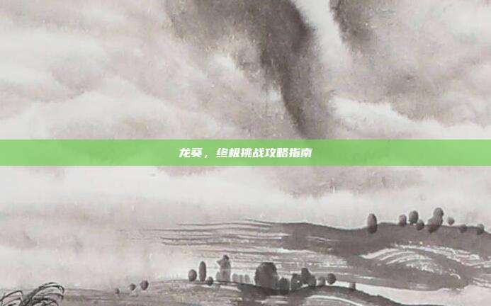 龙葵,终极挑战攻略指南