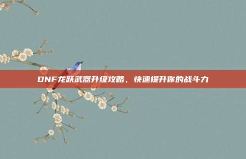DNF龙跃武器升级攻略,快速提升你的战斗力