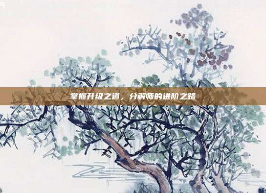 掌握升级之道,分解师的进阶之路