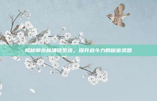 揭秘御龙林项链系统,提升战斗力的秘密武器