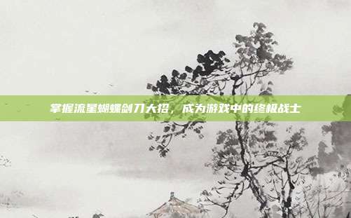 掌握流星蝴蝶剑刀大招，成为游戏中的终极战士
