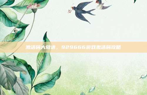 激活码大放送,929666游戏激活码攻略