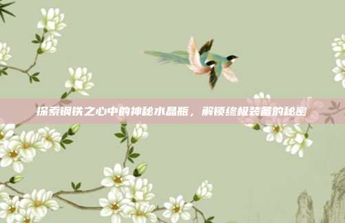 探索钢铁之心中的神秘水晶瓶，解锁终极装备的秘密