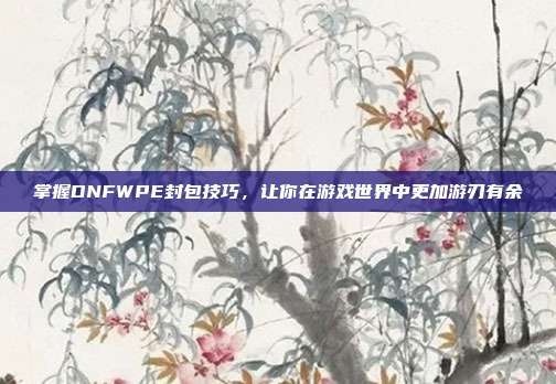 掌握DNFWPE封包技巧,让你在游戏世界中更加游刃有余